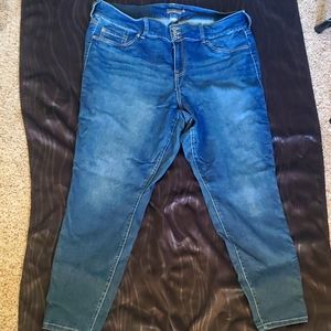 Torrid Denim Jegging